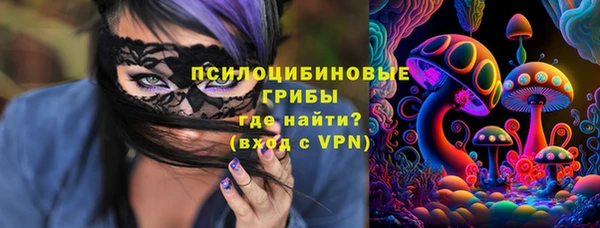 спиды Алексеевка
